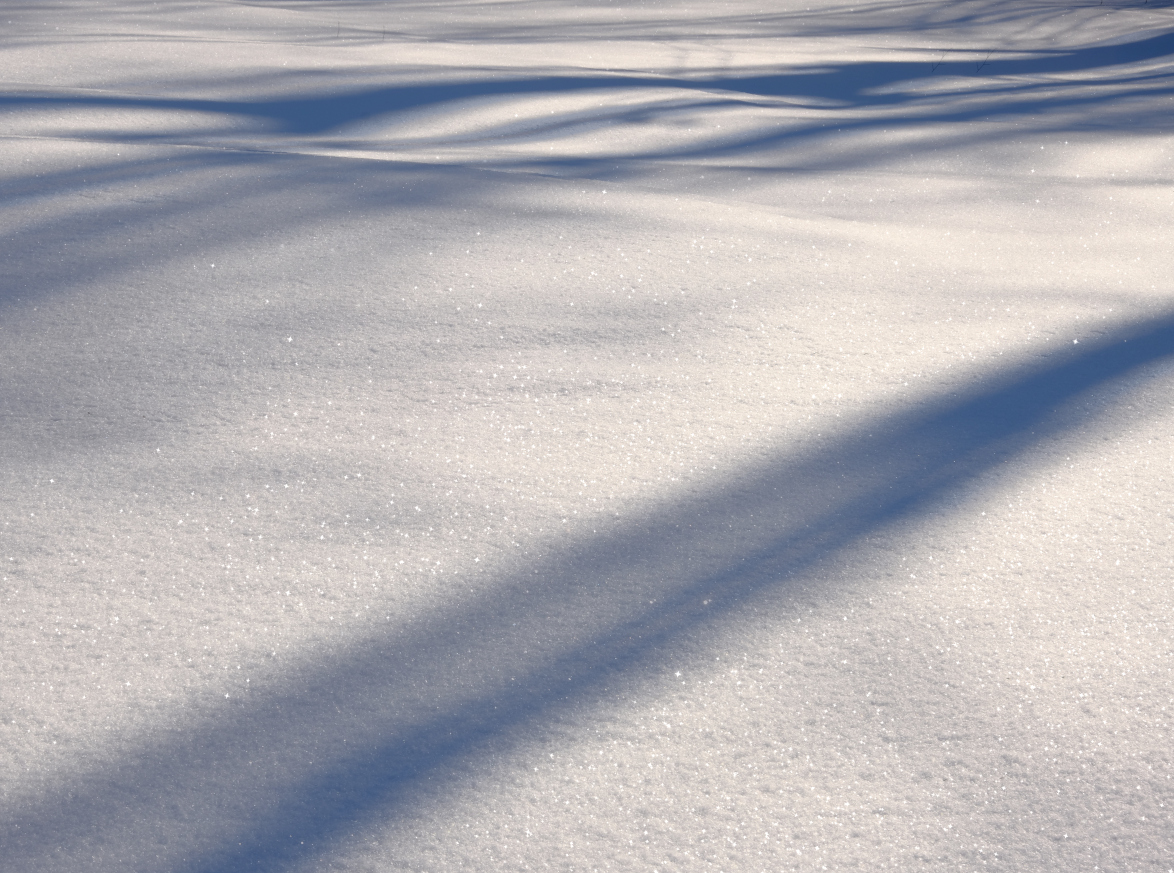 Pure As The Driven Snow PictureLongmont