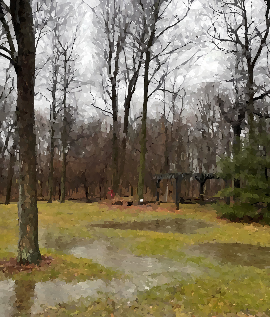 water from winter storm miles pools in yard