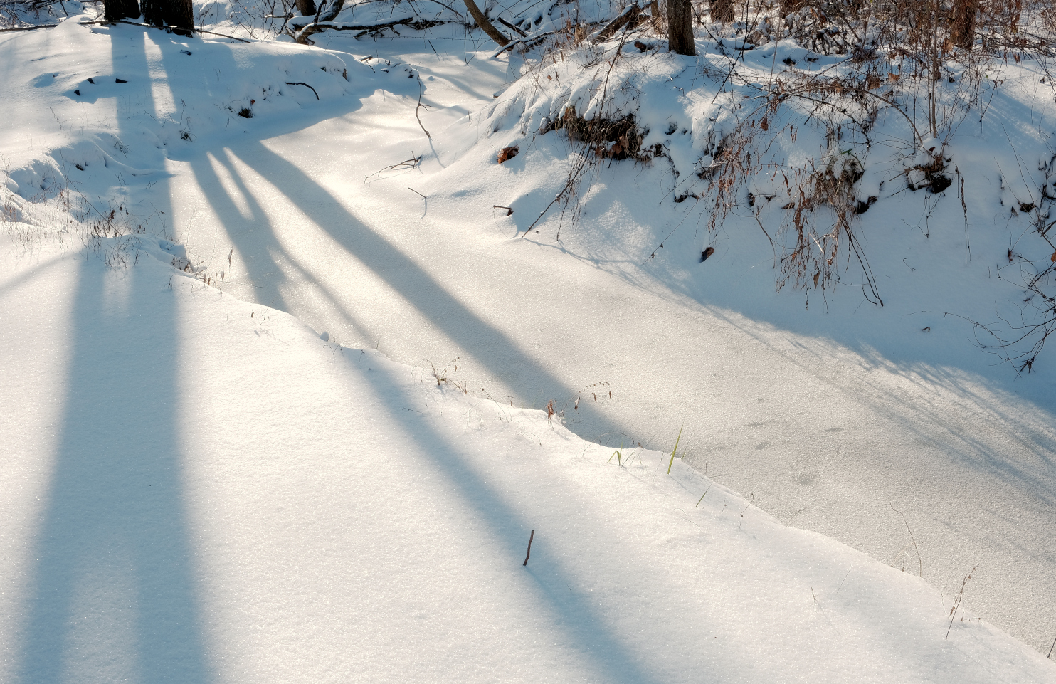 westwood branch flowing east during big snow of feb. 4th