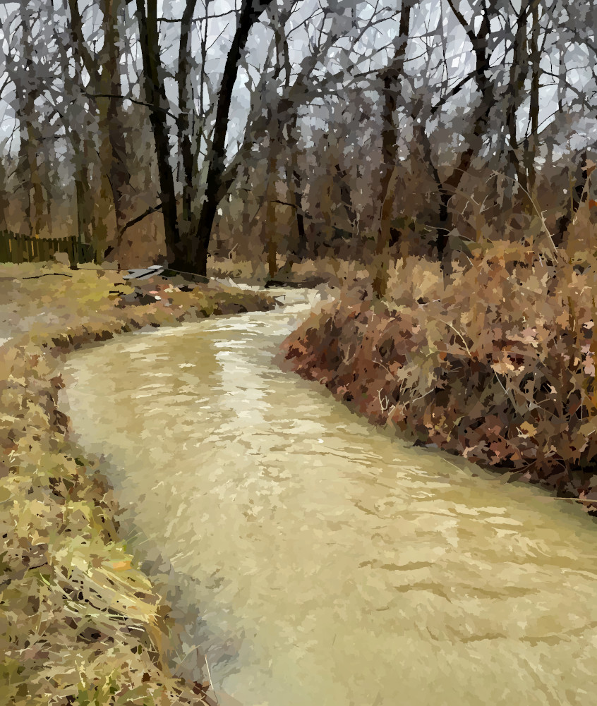 westwood branch flowing east and filled to it’s banks with water from winter storm miles