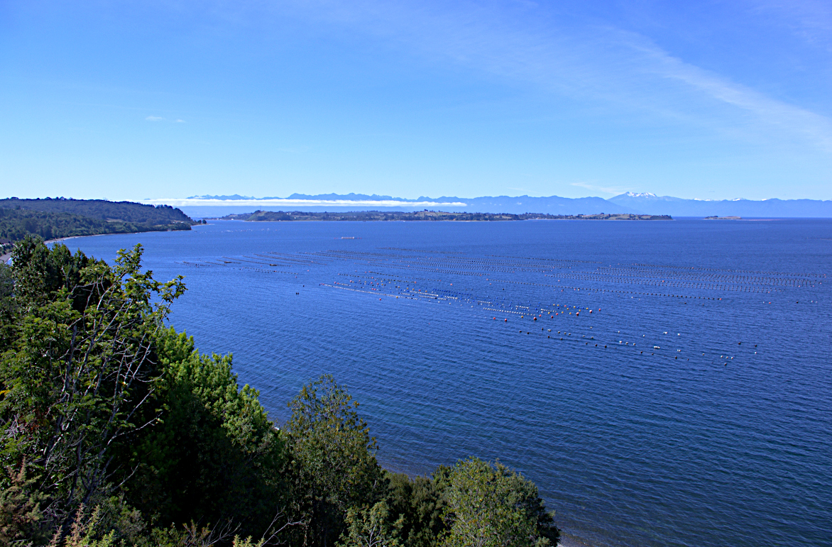 the trail ended at a clearing where they looked south east to the mussel farm below