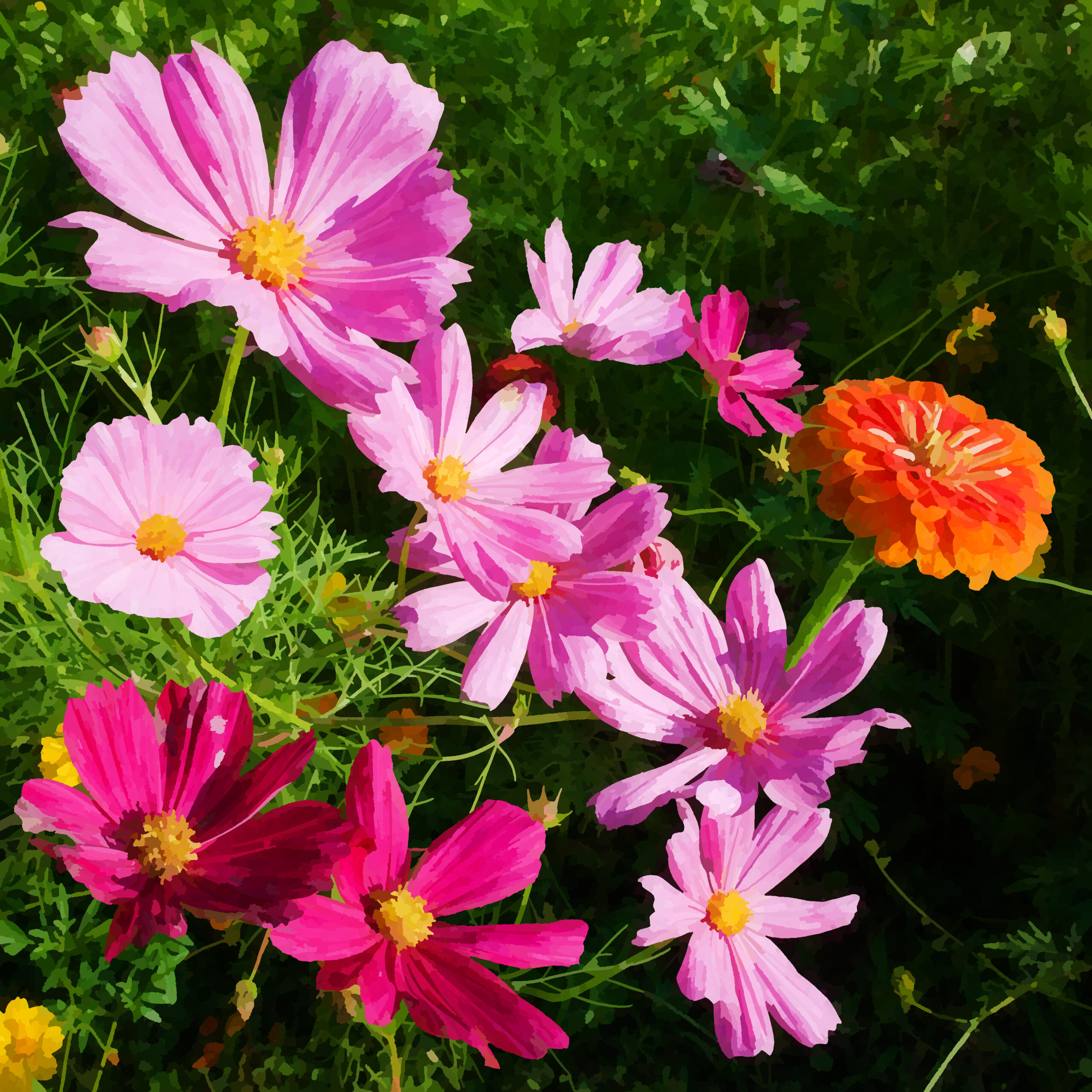 Her flower garden this summer