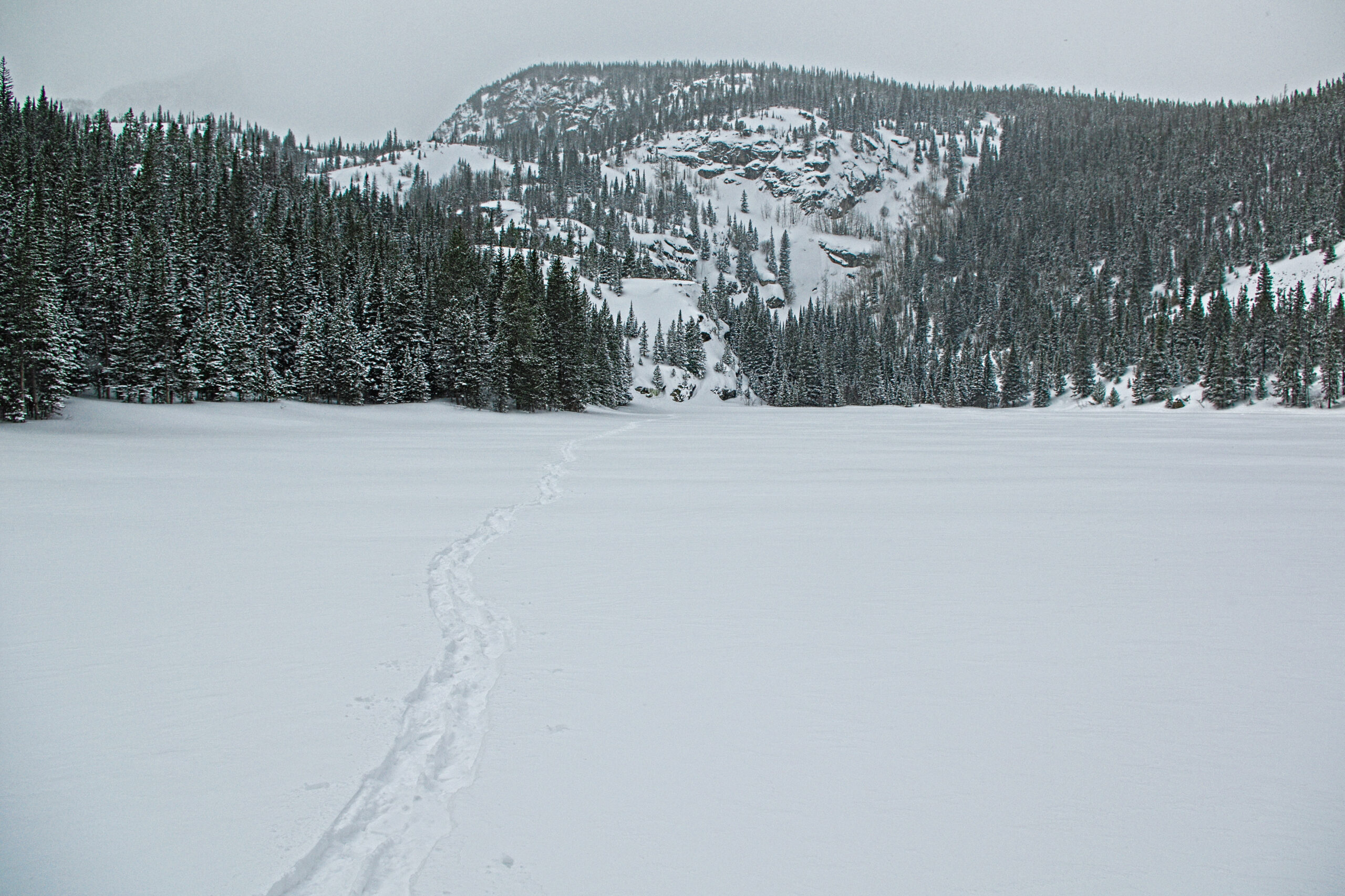 RMNP